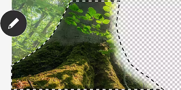 Inserting image...
