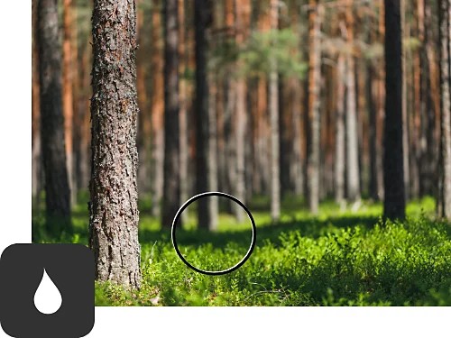 A photo of trees with a blur effect added.