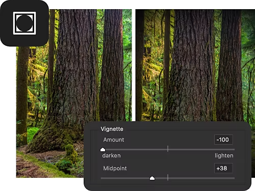 A before and after photo of a tree with a vignette effect applied.