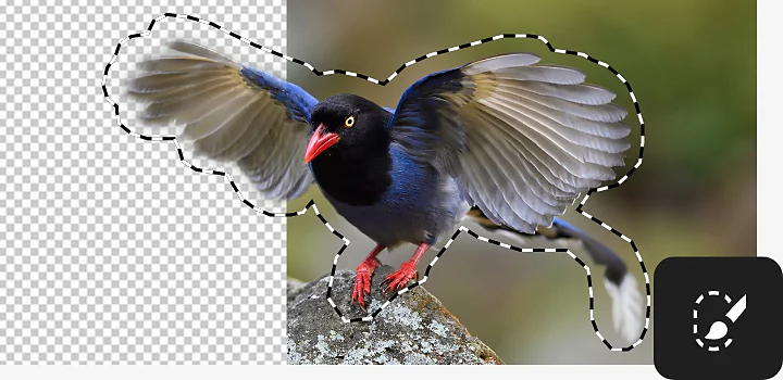 Inserting image...
