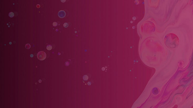 Leaflet design software for print, digital, web, and social media.