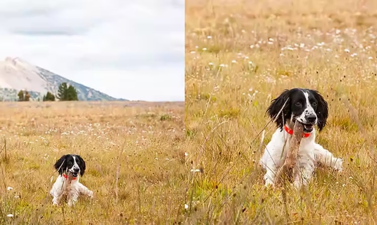 Pack more megapixels into your photos with one click.