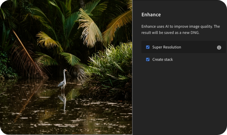 Đang chèn hình ảnh...