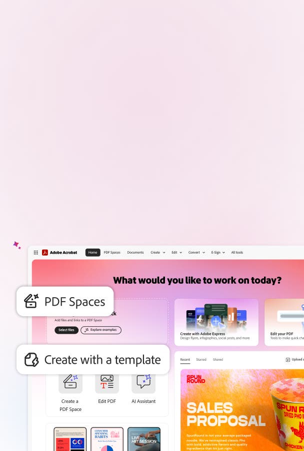 ACROBAT STUDIO visual data 8